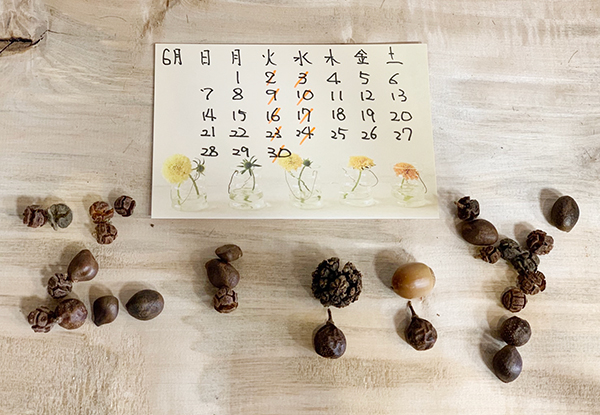 6月定休日のお知らせ