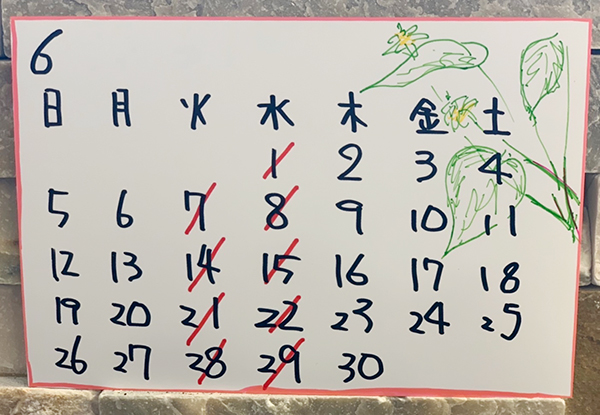 6月定休日のお知らせ